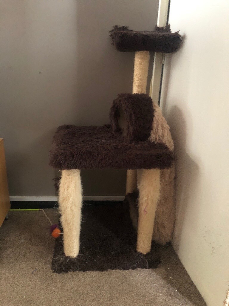 gumtree cat scratching post